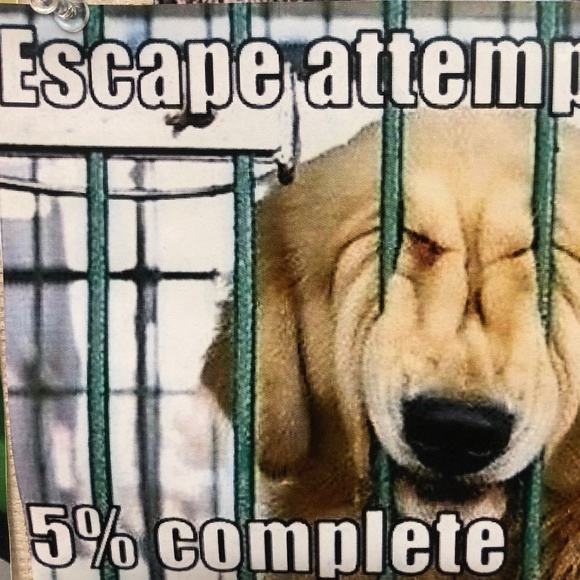 Meet your Posher, Nancy - Picture 1 of 1